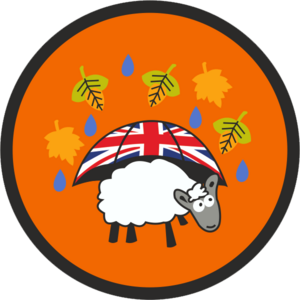 Autumn Sheep