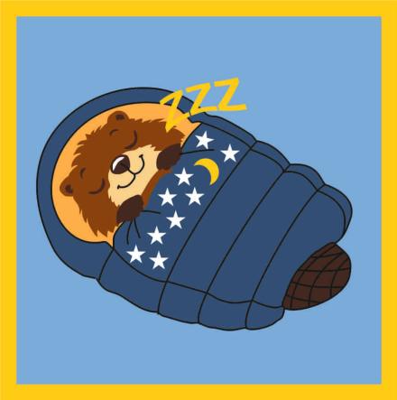 Beaver Sleepover