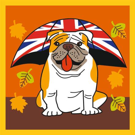 British Bulldog Autumn