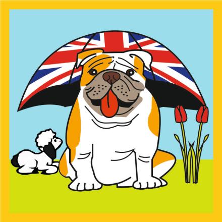 British Bulldog Spring