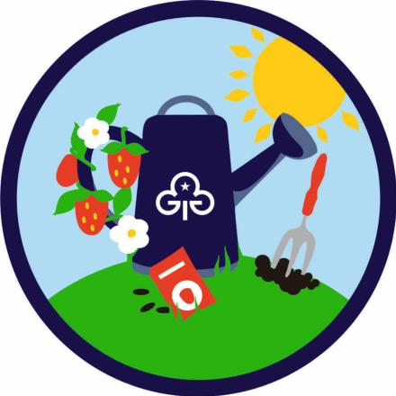 Plant & Vegetable Growing