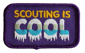 Scouting is cool