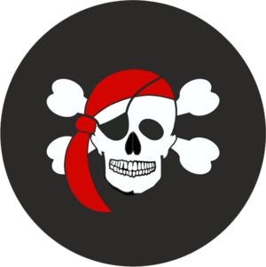 Skull And Crossbones Badge