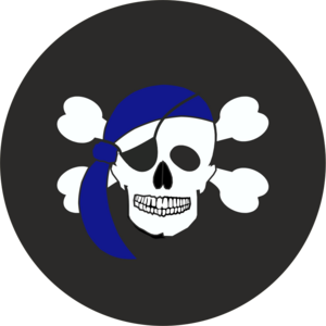 Skull And Crossbones Badge