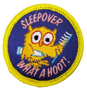 Sleepover what a hoot!