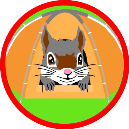 Squirrel Camp