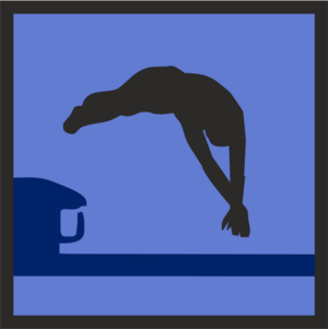 Swimmer