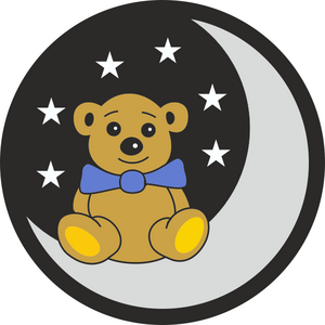 Teddy on moon
