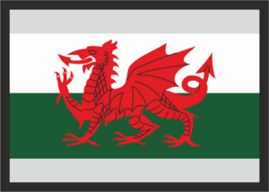 Welsh Flag